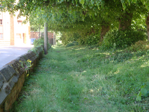 St Lawrence Churchyard - The North Path