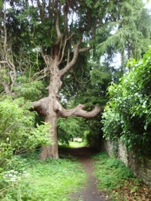 St Lawrence Churchyard