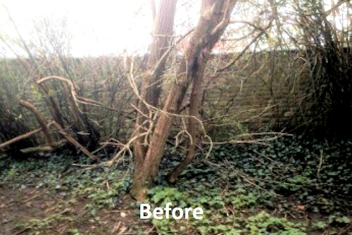 St Lawrence Churchyard, Towcester, Before